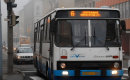 Reggel 7 óta vihogok ezen! A 3 éves kislány megszólalt a buszon: “Te vagy a világ legszebb anyucikája” – A következő mondatán felröhögött az egész busz…