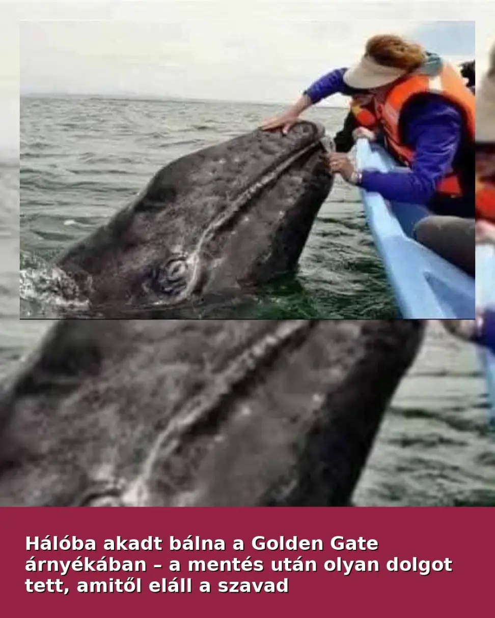 balna feed 1080x1350