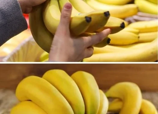 banan1 12T163026.032 526x381