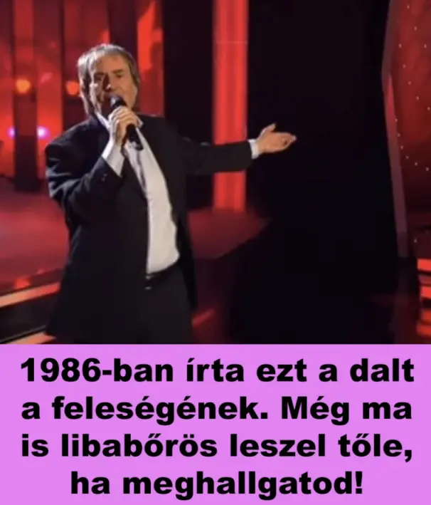 dal644231022081566 n