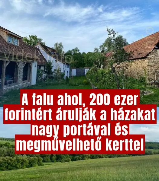 falu07T105225.558 526x600 1