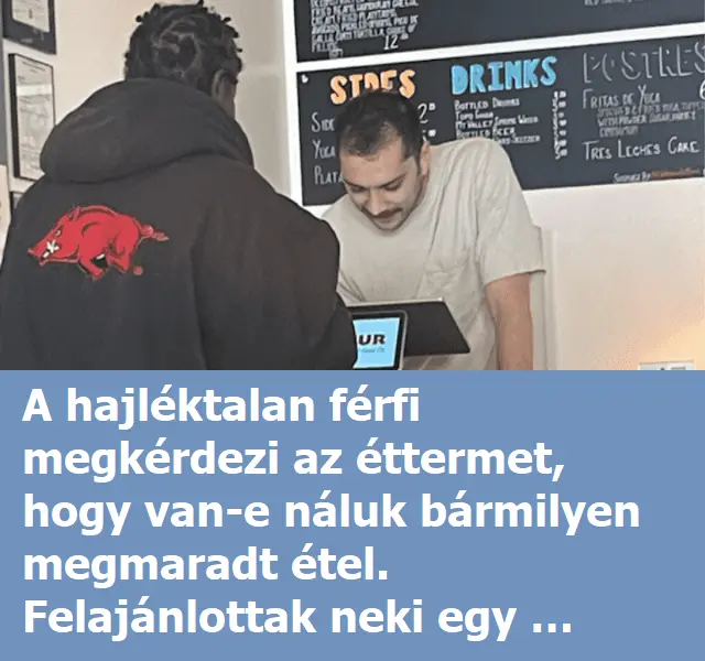 hajlektalankaja456e