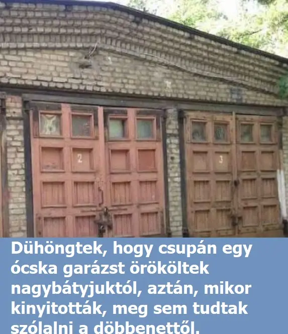 ocskagarazs01x381