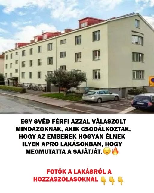 svedlakas 3753800217 n