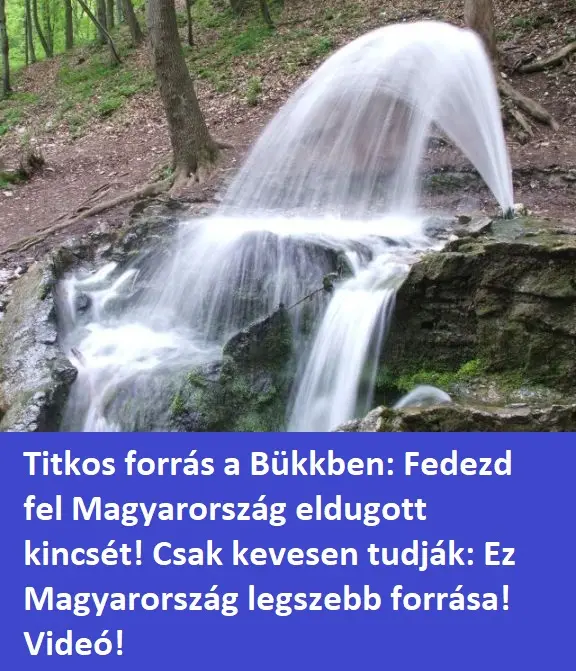 voroskoforras23423424