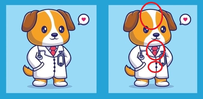 find 3 differences solved