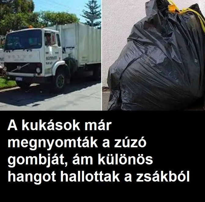 kukas1