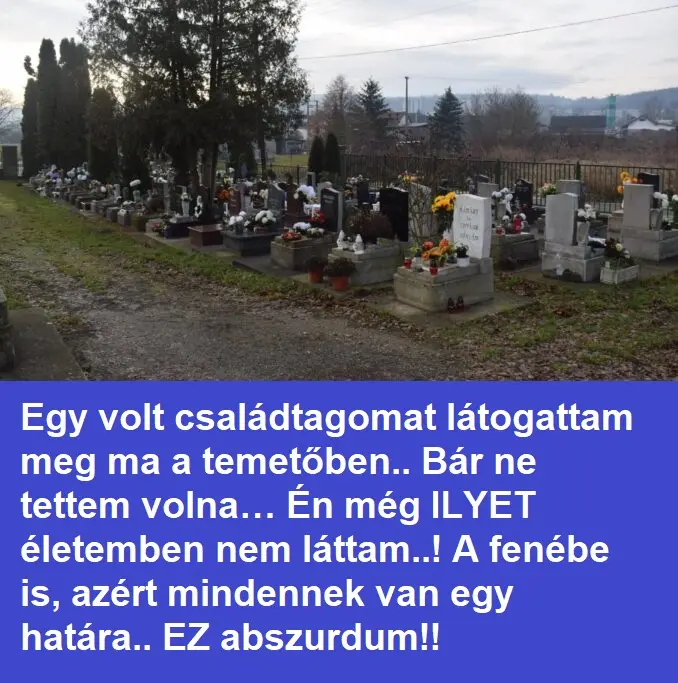 csaladtagtemeto8x381