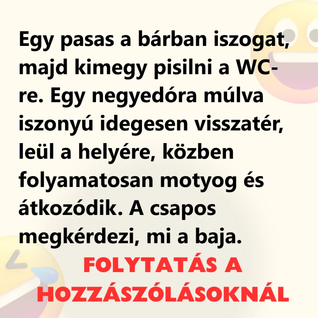 Vicc Egy pasas a barban iszogat majd kimegy a WC re 1024x1024