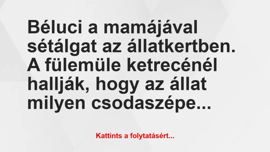 vicc beluci a mamajaval setalgat az allatkertben a fulemule ketrecenel 1024x576